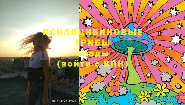 ПСИЛОЦИБИНОВЫЕ ГРИБЫ Абинск
