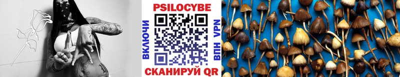 как найти наркотики  Пойковский  OMG зеркало  Галлюциногенные грибы Magic Shrooms 